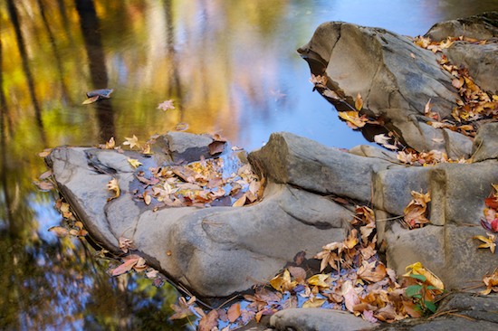 Abstract;Abstractions;Autumn;Boulder;Brook;Chatsworth;Chattahoochee National Forest;Creek;Fall;Foliage;Geological;Geology;Georgia;Holly Creek;Holly Creek Preserve;Leaf;Leafy;Leaves;Patterns;Reflection;Reflections;Rivulet;Rock;Rock Formations;Rocks;Shapes;Stone;Stones;Stream;Streamlet;Striation;Textures